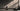 TYVOK X1S Large Format Starter Pack image 2